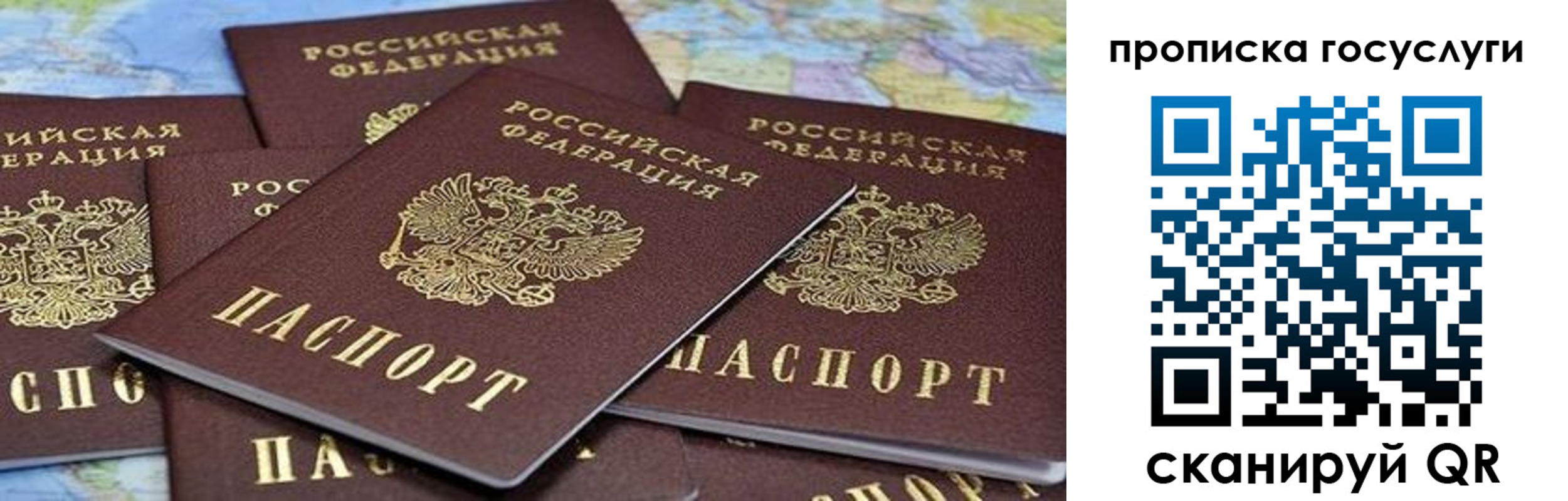 пропишу в квартире в Зеленоградске